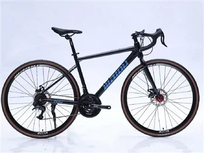 Vuxna landsvägscyklar