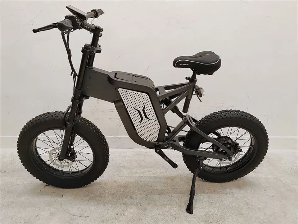 Däck Mountain E-Bike för vuxna