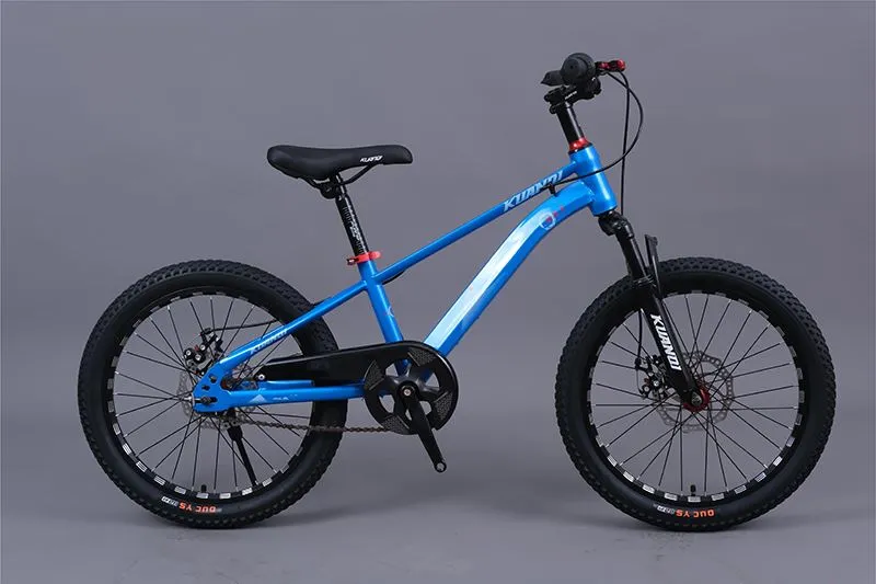 Junior Mountain Bike